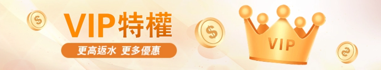 vip反水最高回饋0.80%-九州娛樂城